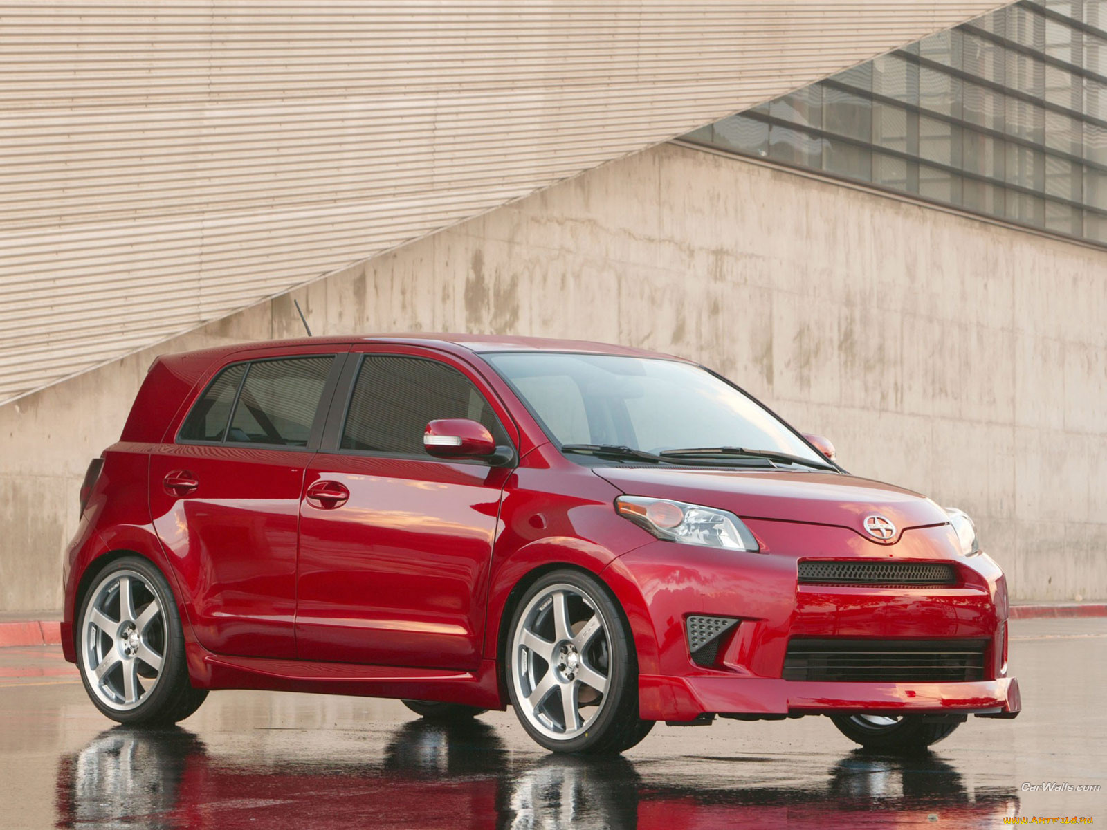 , scion